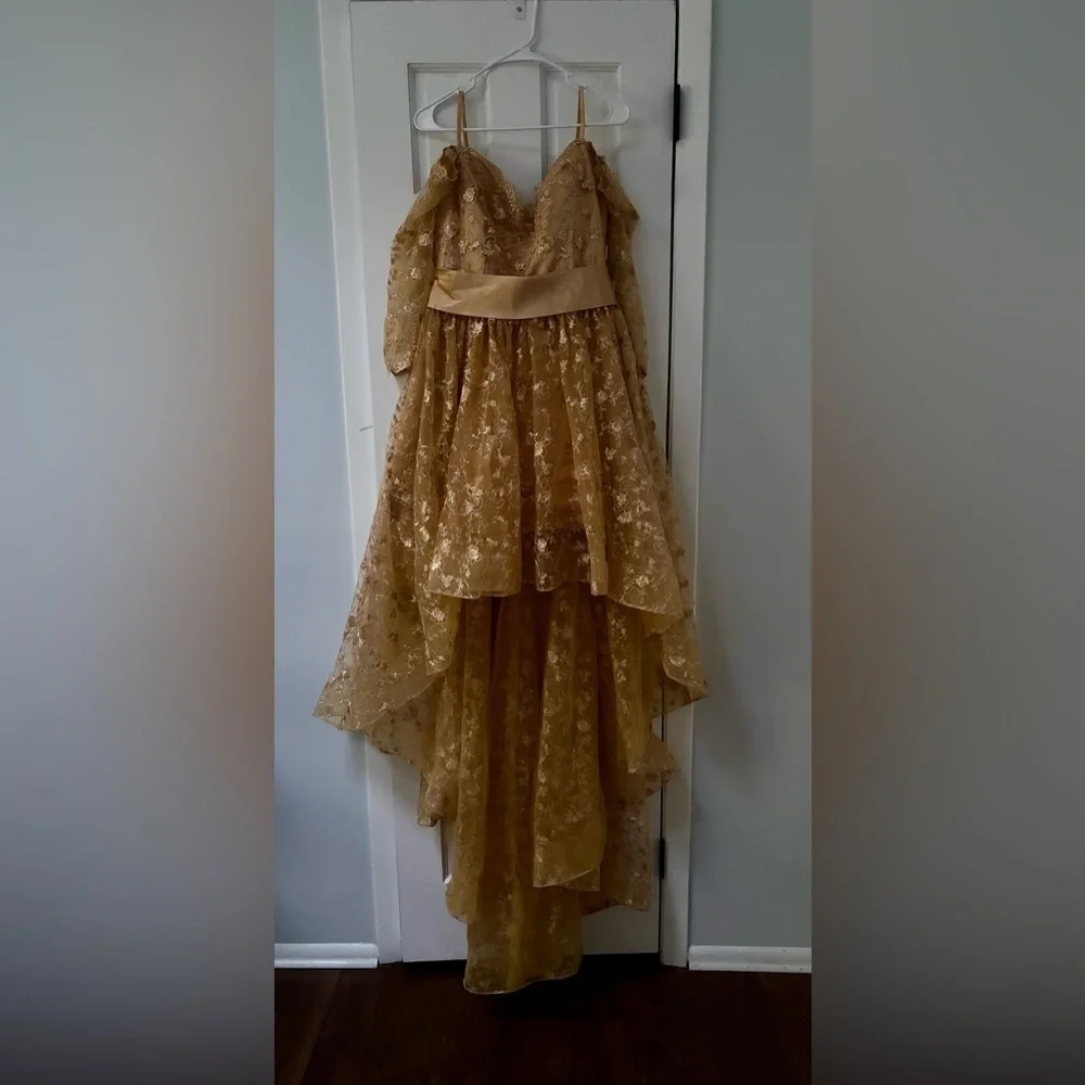 Elegant Lace Evening Dress